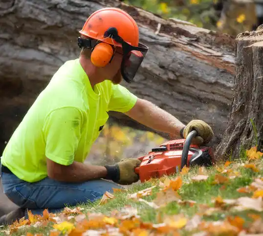 tree services Norwood Young America